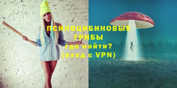 MDMA Пионерский
