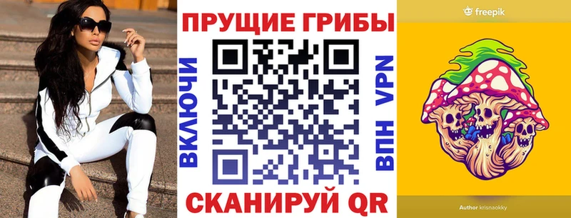 закладки  Усолье  Псилоцибиновые грибы прущие грибы 